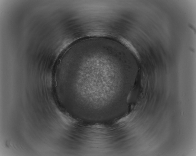 X0000091360204200708241317