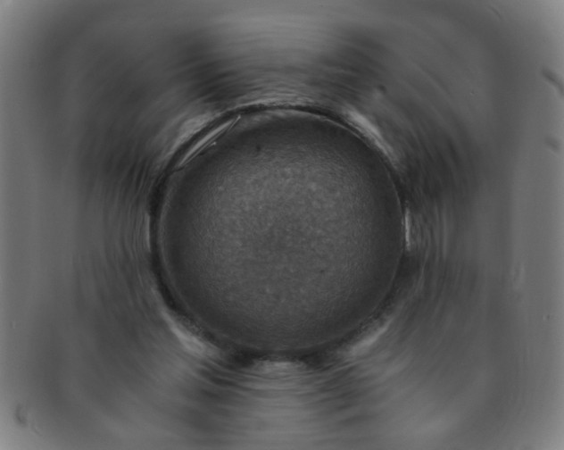 X0000091360205200708241317