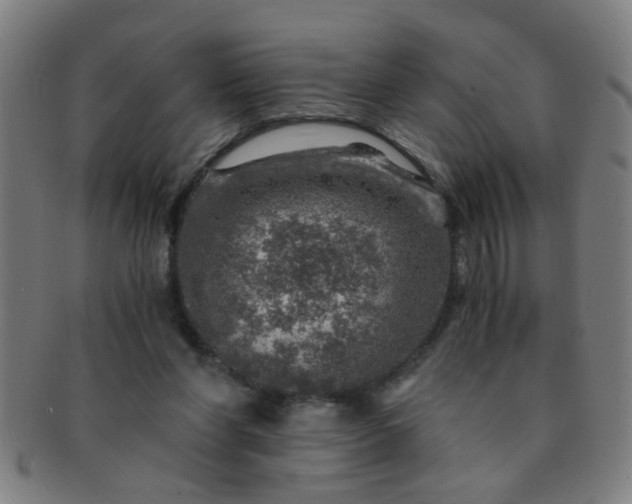 X0000091360206200708241317