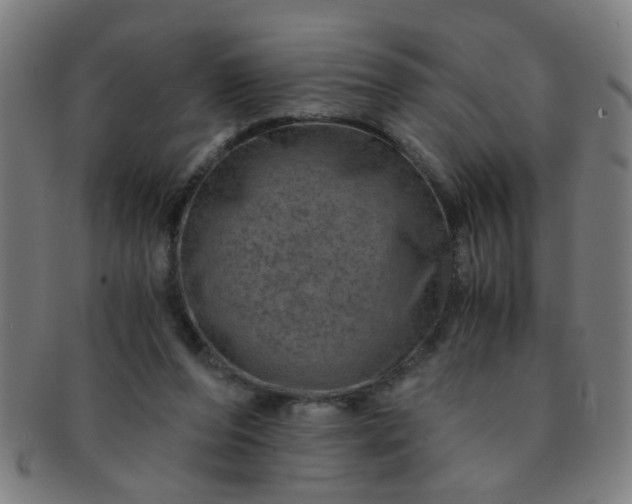 X0000091360208200708241317
