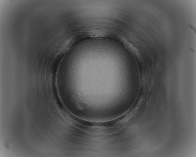 X0000091360209200708241317