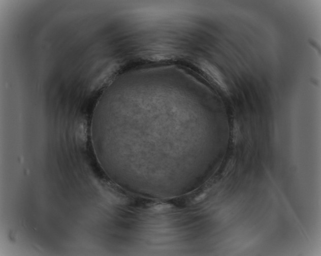 X0000091360210200708241317