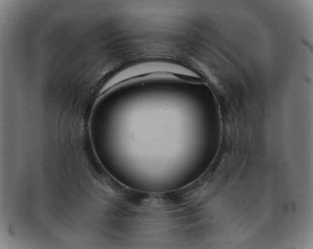 X0000091360211200708241317