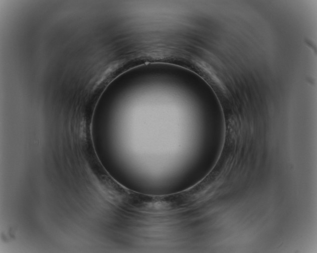 X0000091360212200708241317