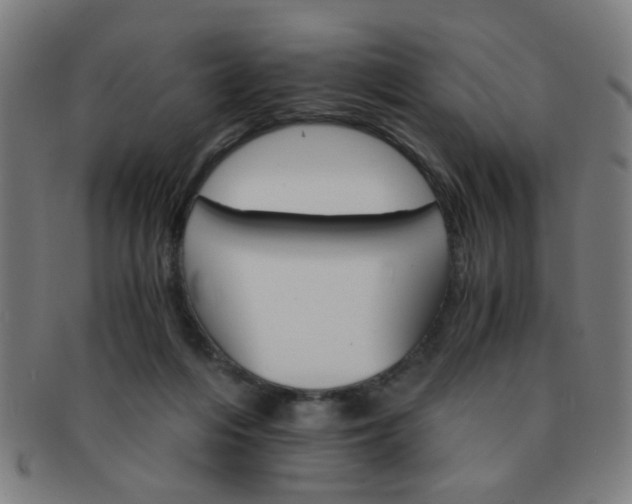 X0000091360216200708241317