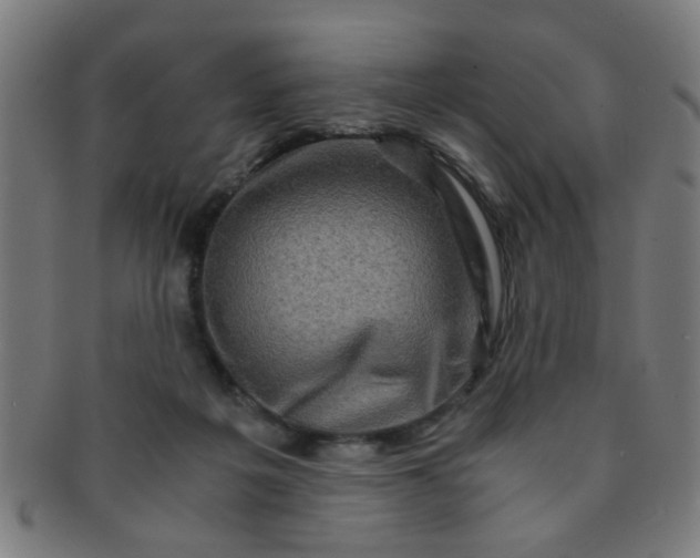 X0000091360217200708241317