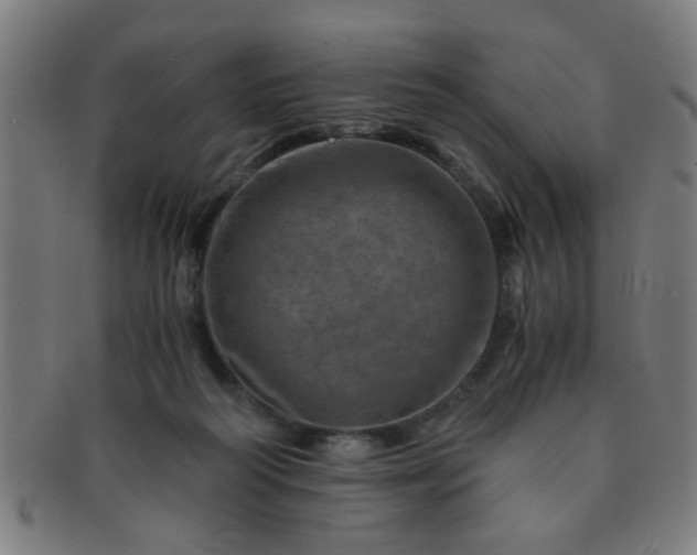 X0000091360218200708241317