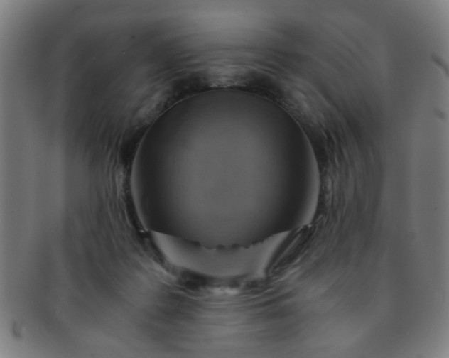 X0000091360219200708241317