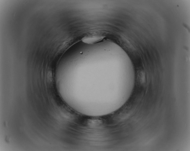 X0000091360220200708241317
