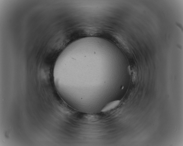 X0000091360221200708241317