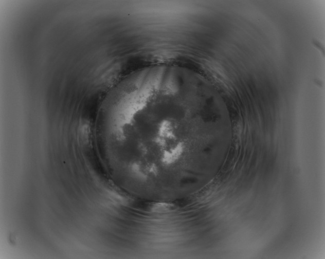 X0000091360222200708241317