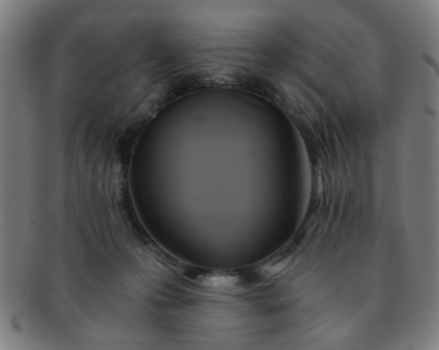 X0000091360223200708241317