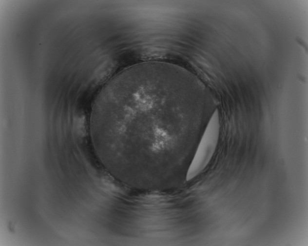 X0000091360224200708241317