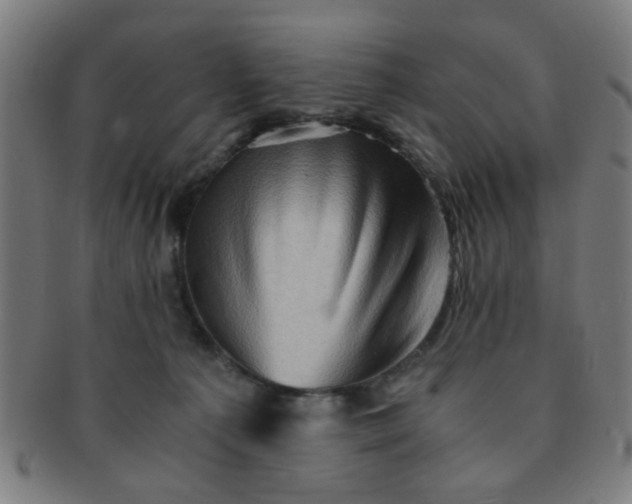 X0000091360225200708241317