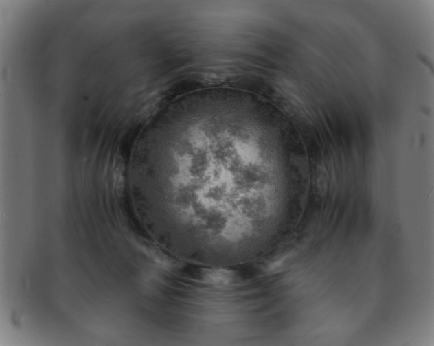 X0000091360226200708241317