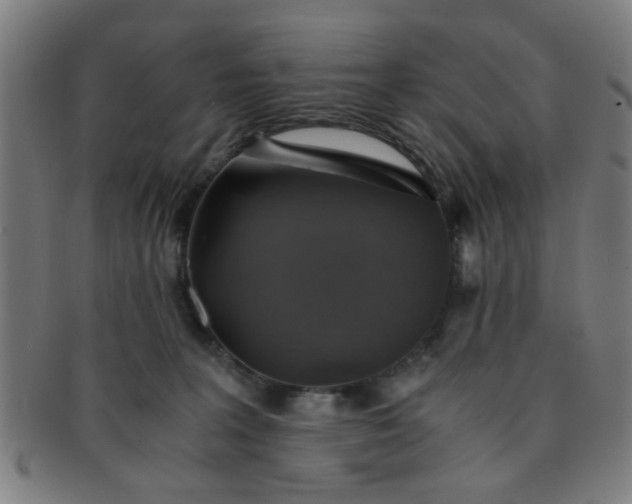 X0000091360227200708241317