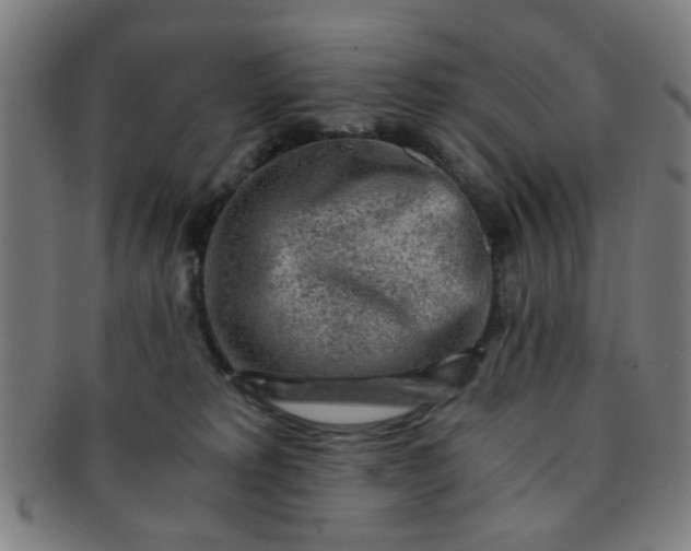 X0000091360229200708241317