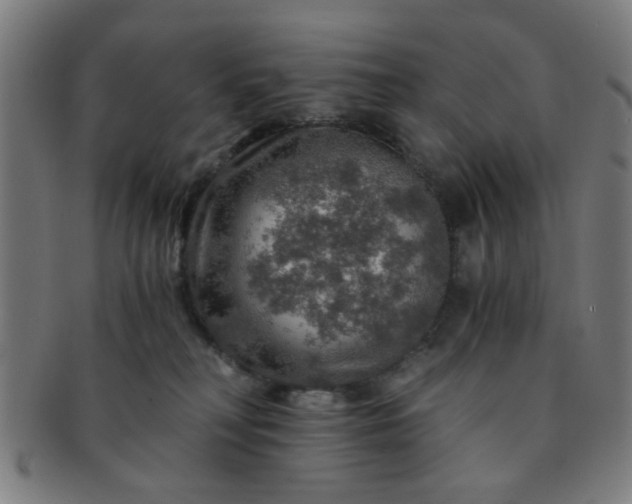 X0000091360230200708241317