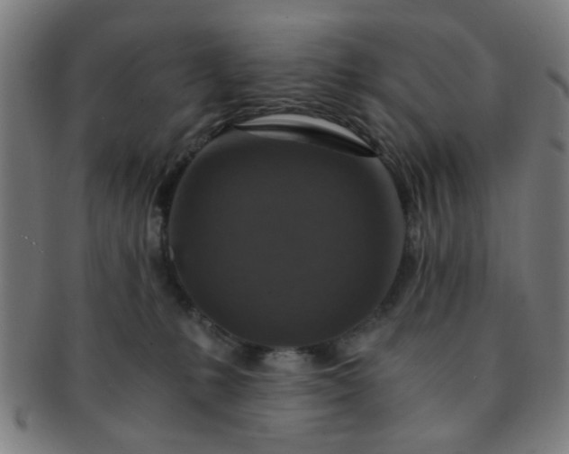 X0000091360231200708241317