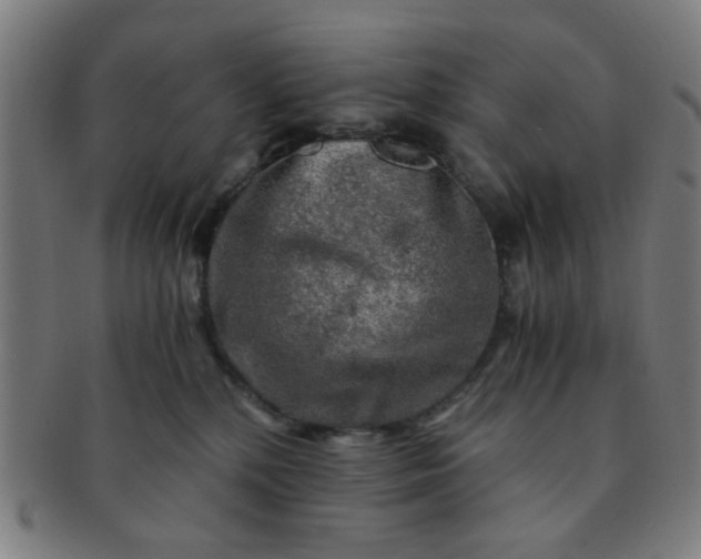 X0000091360232200708241317
