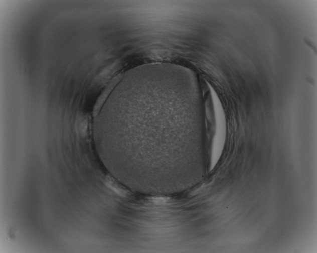 X0000091360233200708241317