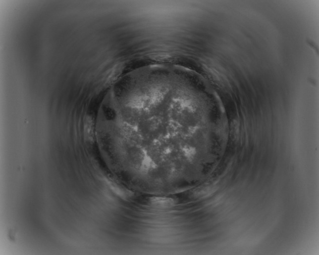 X0000091360234200708241317