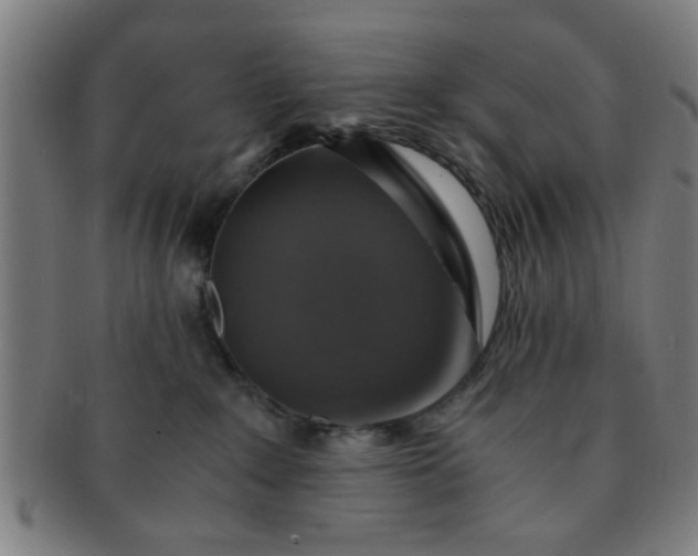 X0000091360235200708241317