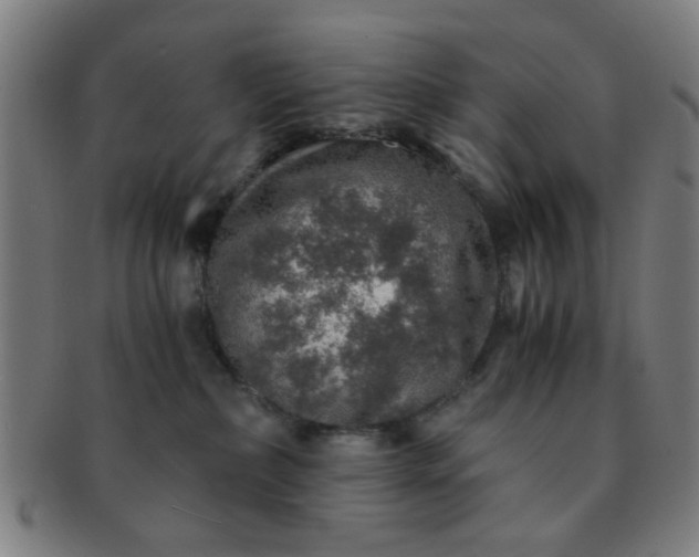 X0000091360236200708241317