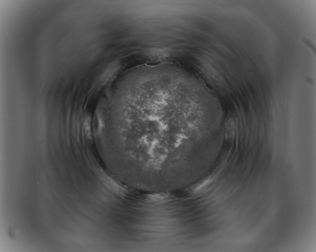 X0000091360238200708241317