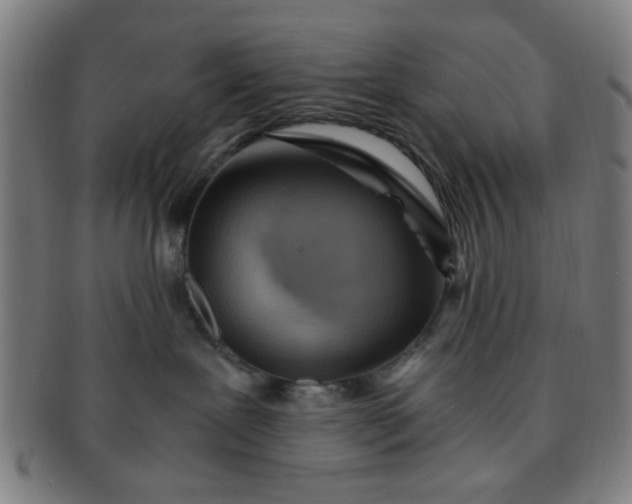 X0000091360239200708241317