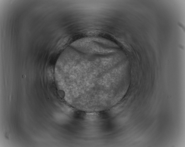 X0000091360240200708241317
