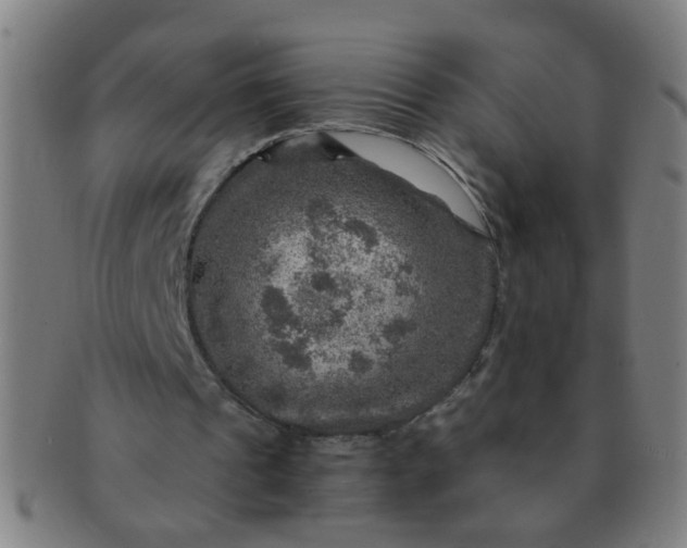 X0000091360241200708241316