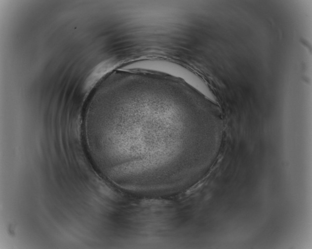 X0000091360242200708241316