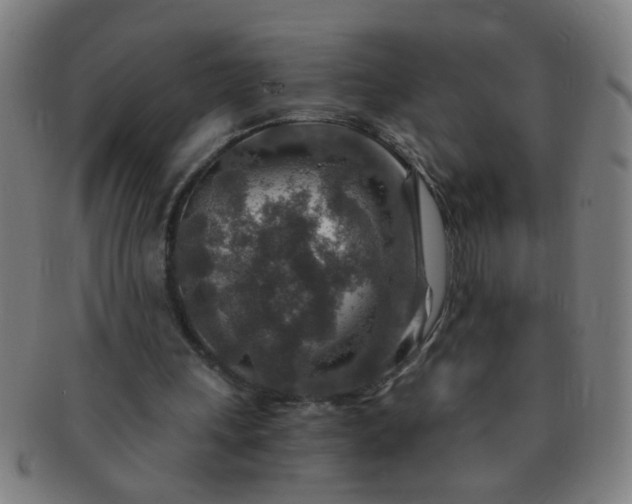 X0000091360243200708241316