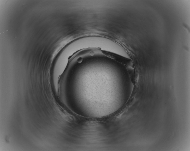 X0000091360244200708241316