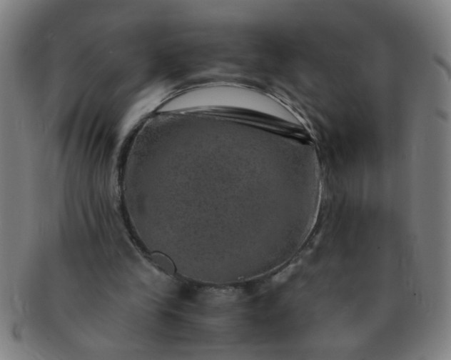 X0000091360245200708241316