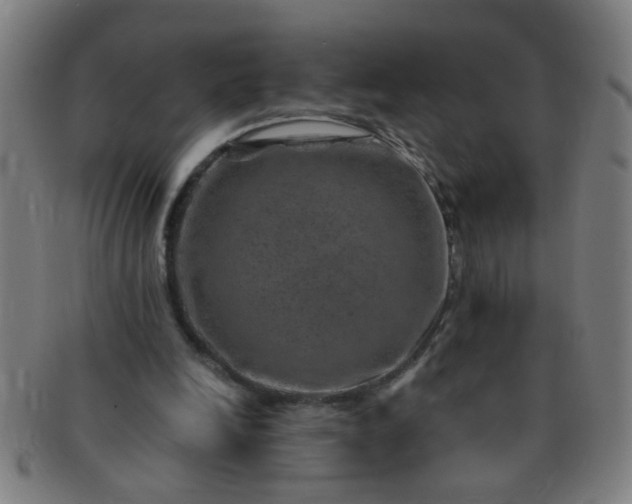 X0000091360246200708241316
