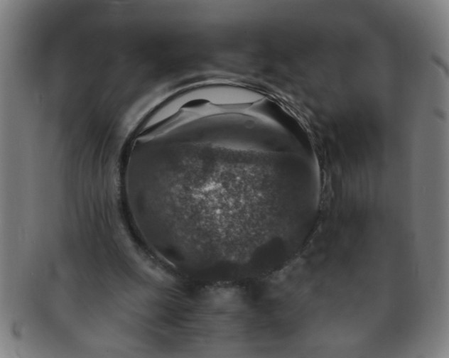 X0000091360247200708241316