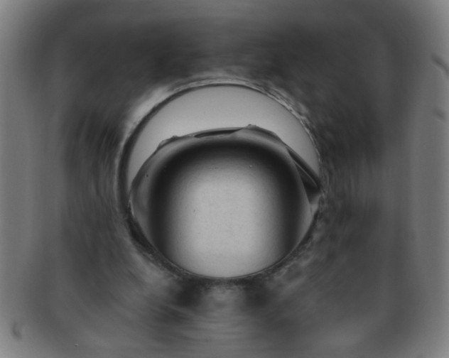 X0000091360248200708241316