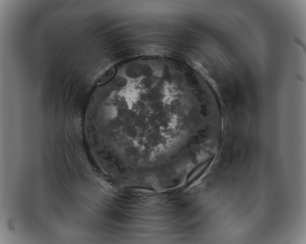 X0000091360249200708241316