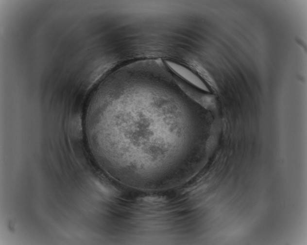 X0000091360251200708241316