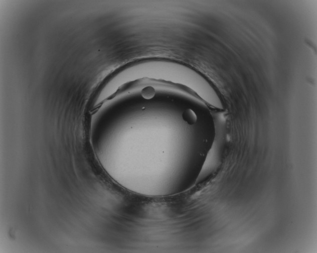 X0000091360252200708241316