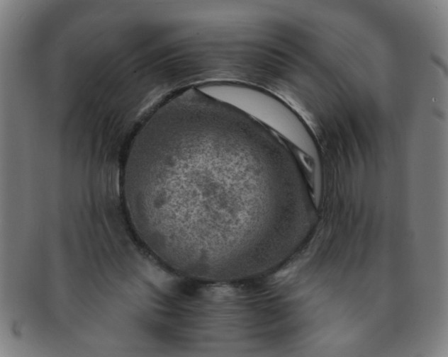X0000091360253200708241316