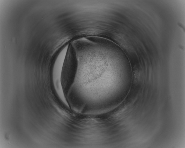 X0000091360254200708241316