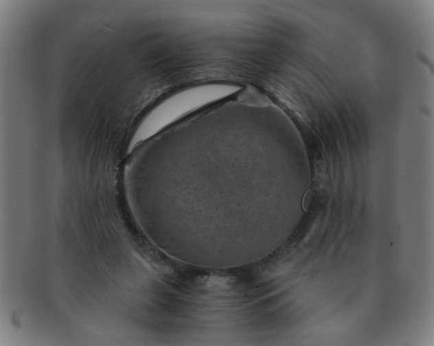 X0000091360255200708241316