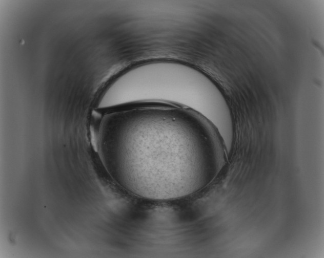 X0000091360256200708241317