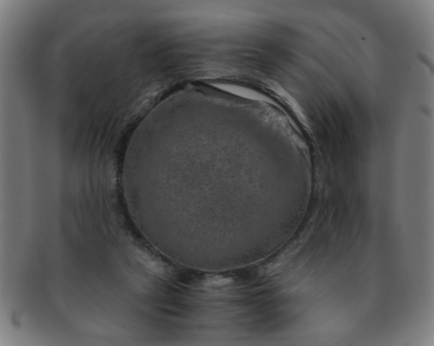 X0000091360257200708241317