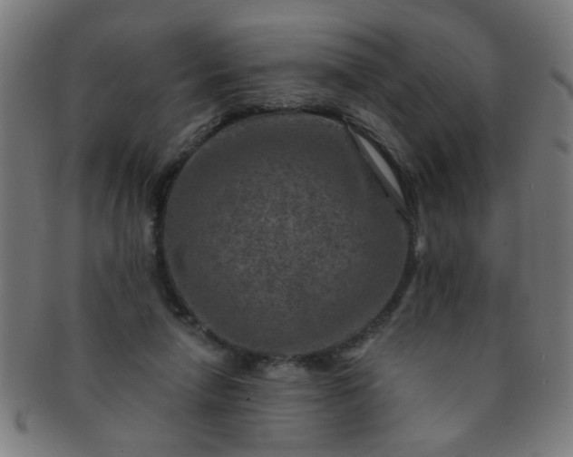 X0000091360258200708241317
