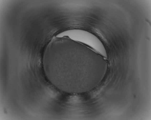 X0000091360259200708241317