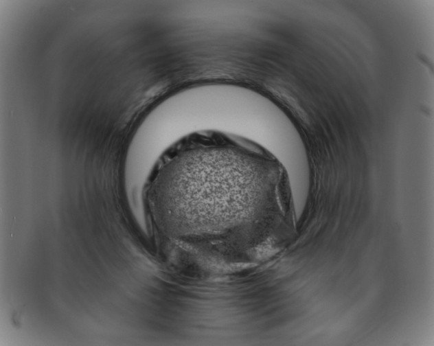X0000091360260200708241317